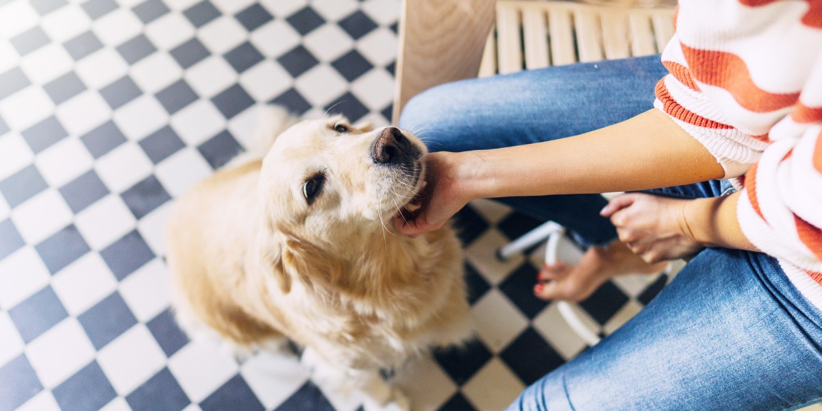 Can dogs eat salted peanuts best sale