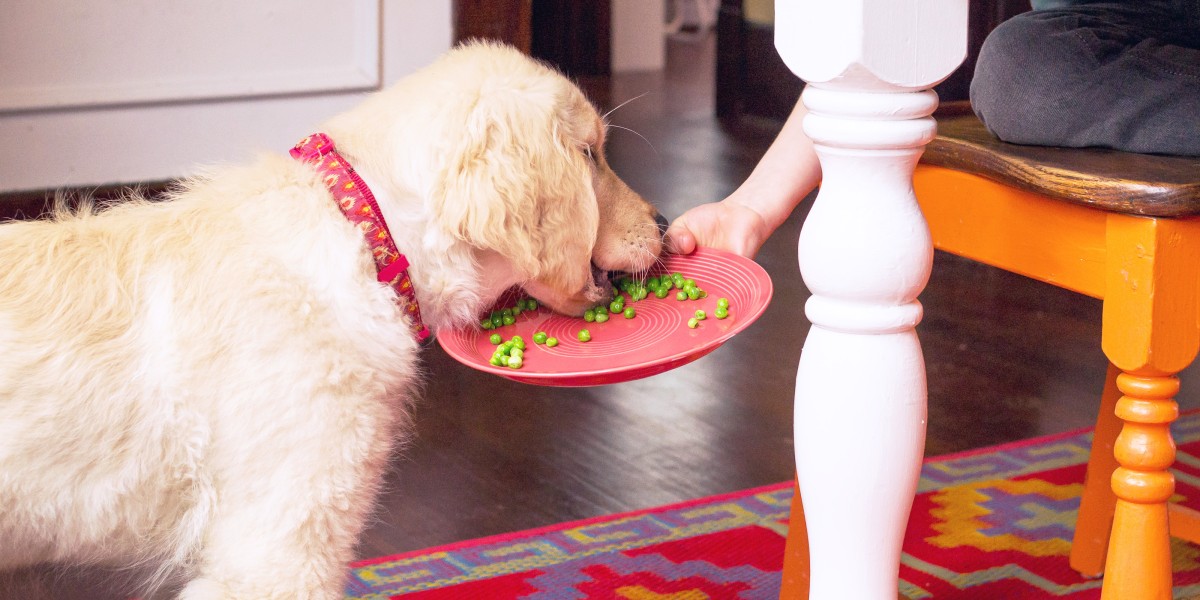 Are peas bad for dogs best sale